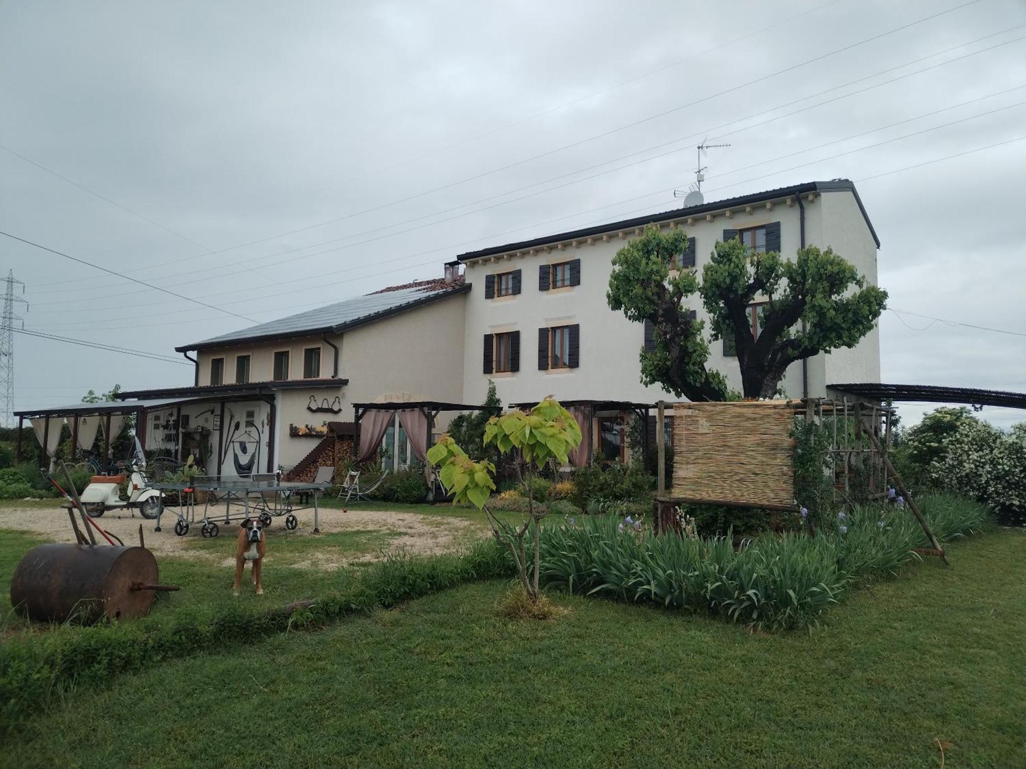 Ca' Blanca Bed & Breakfast Castelnuovo del Garda Exterior photo